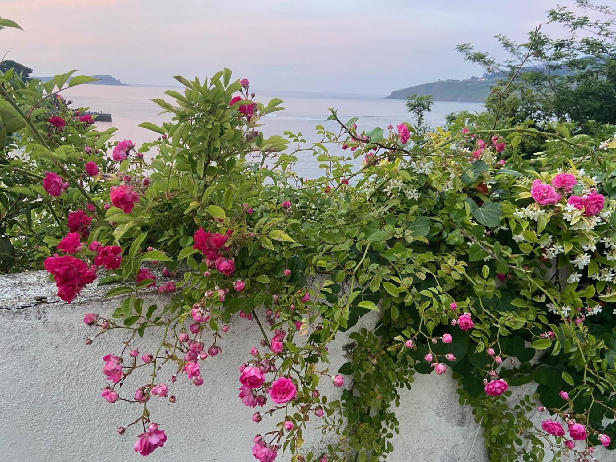 Mundaka Beachfront House Exterior photo