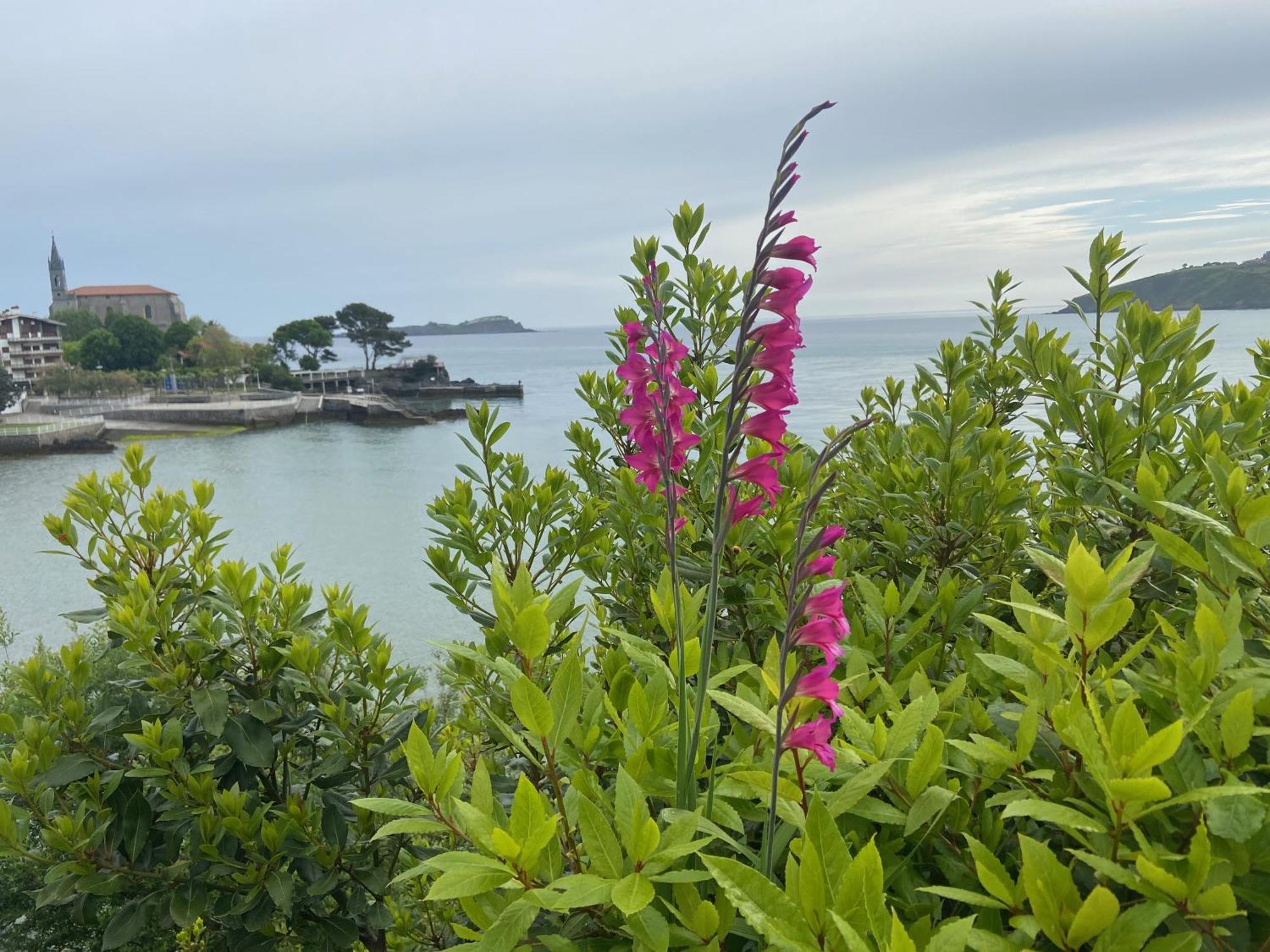 Mundaka Beachfront House Exterior photo