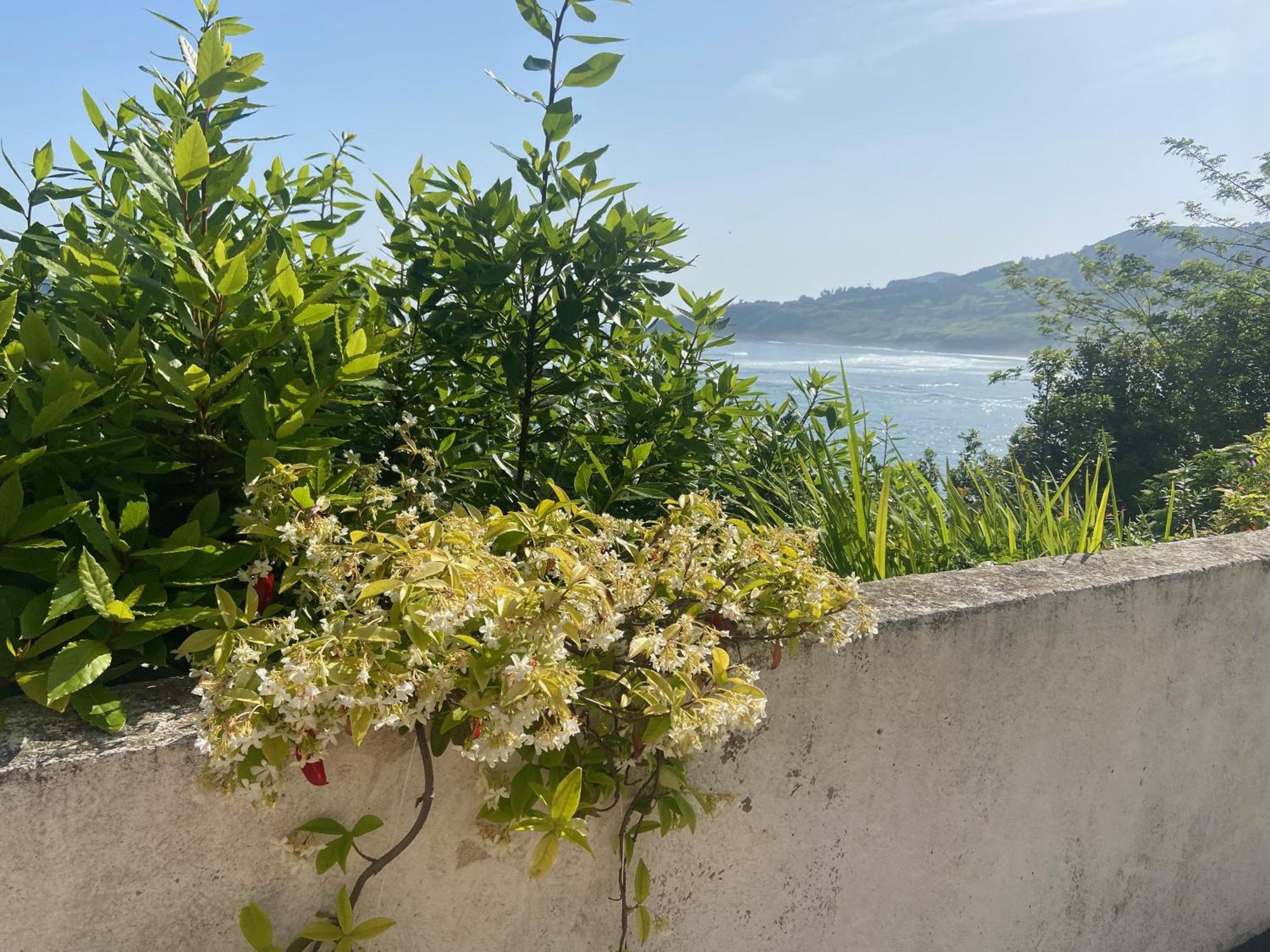 Mundaka Beachfront House Exterior photo